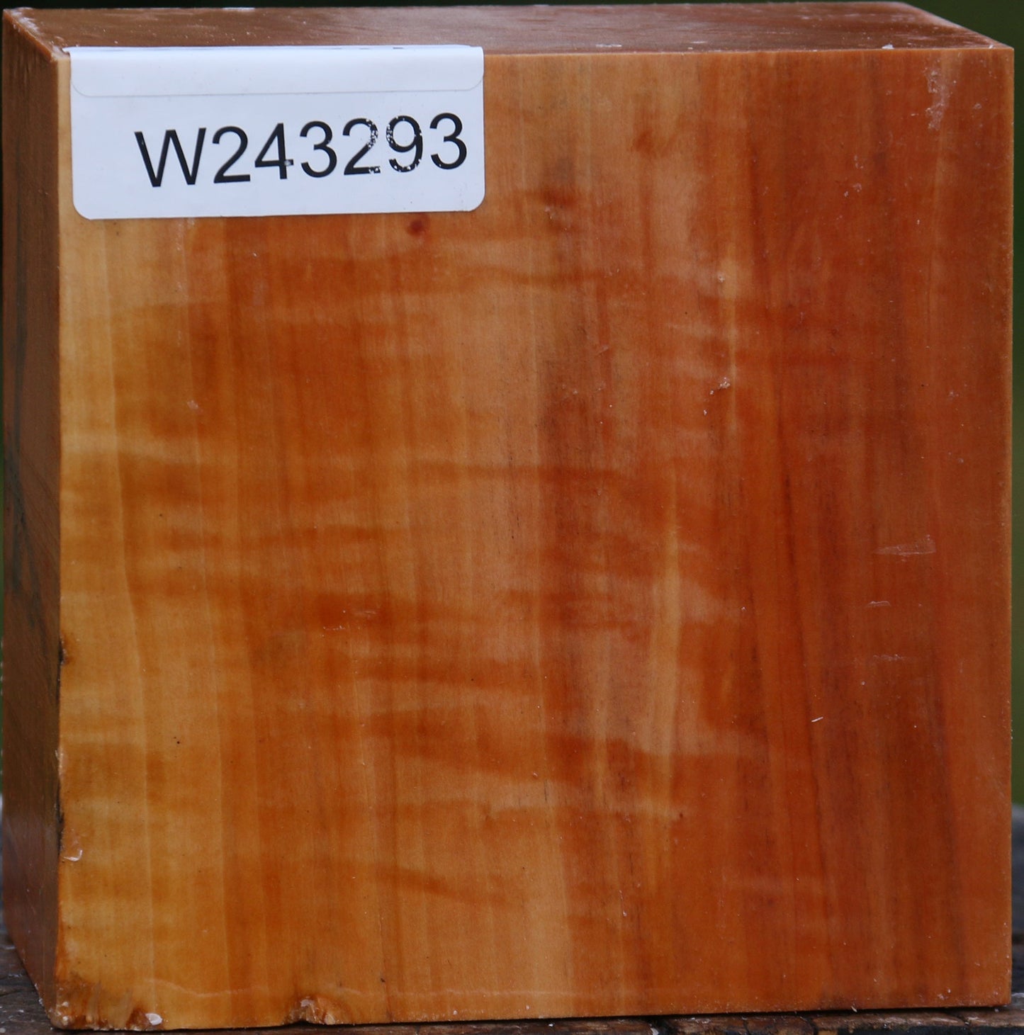 Extra Fancy Swiss Pear Bowl Blank