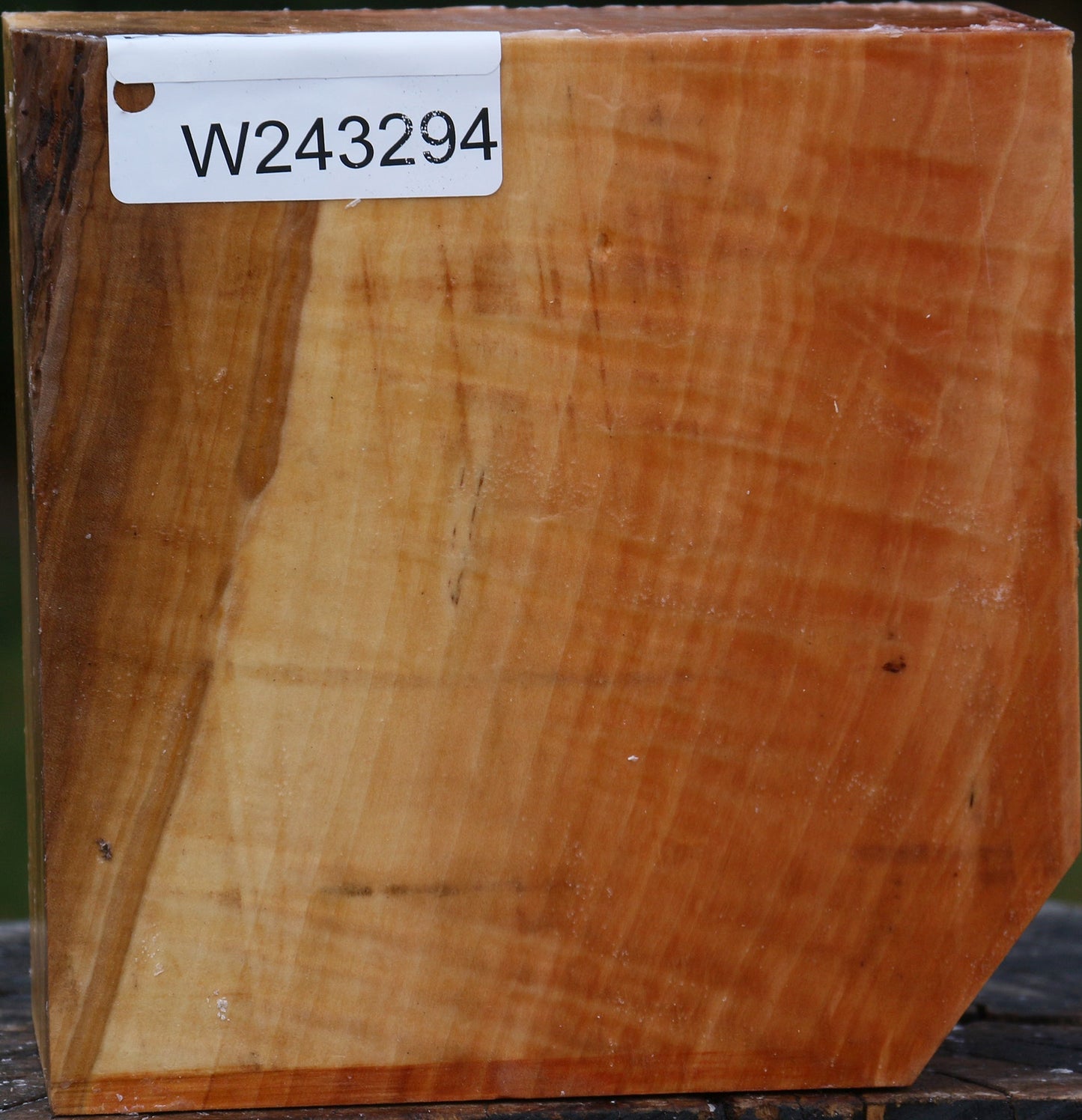 Extra Fancy Swiss Pear Bowl Blank