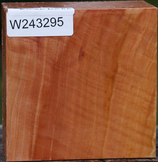 Extra Fancy Swiss Pear Bowl Blank