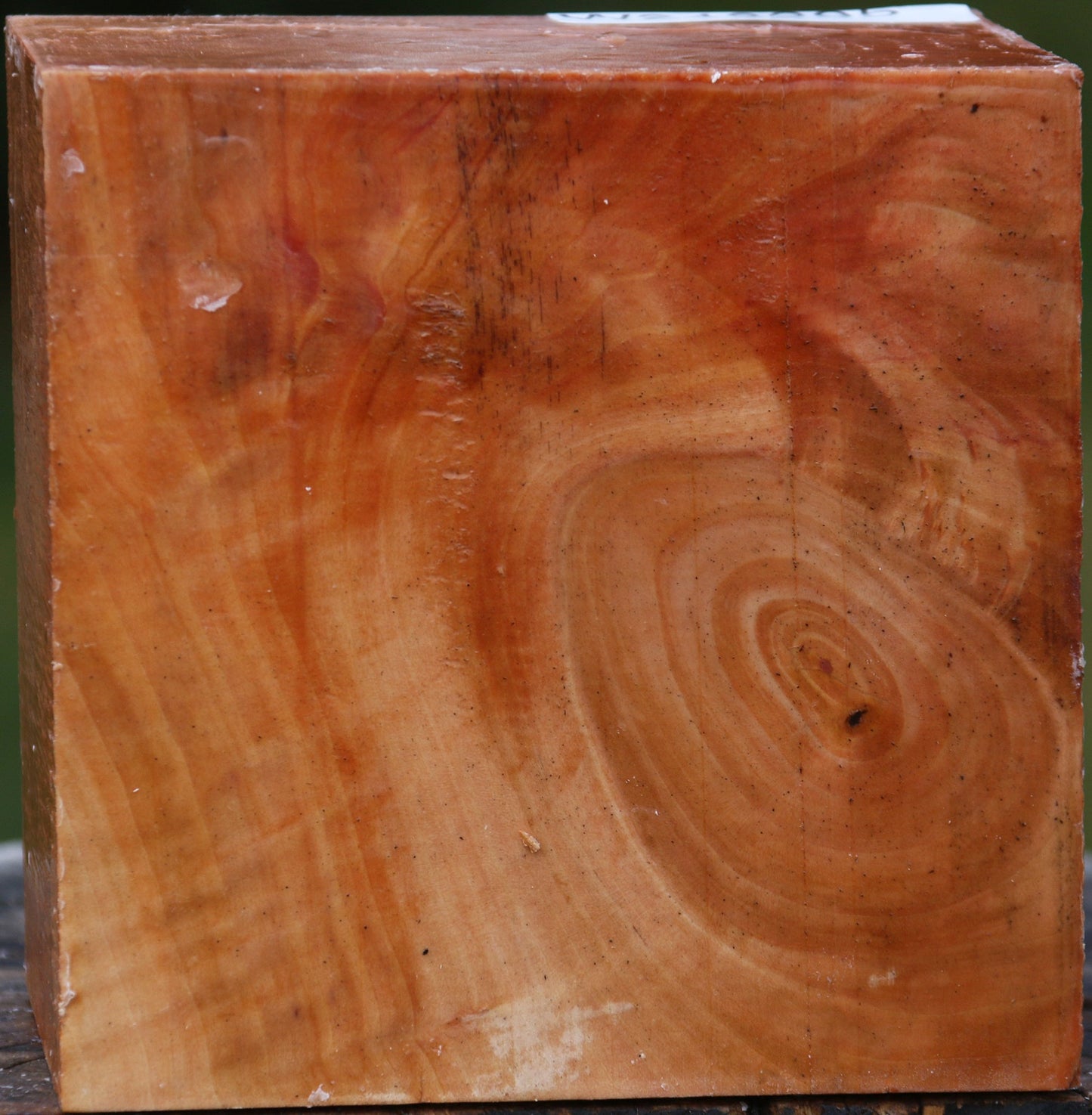 Extra Fancy Swiss Pear Bowl Blank