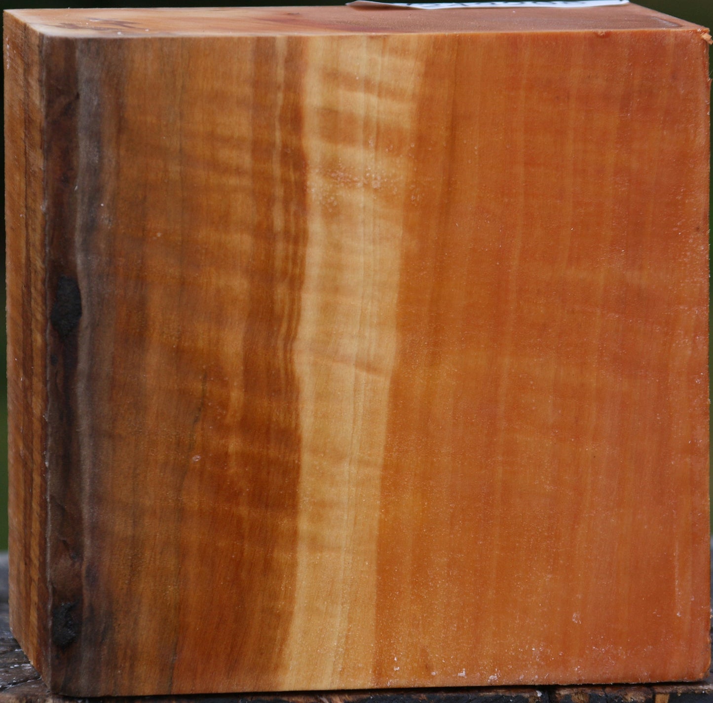 Extra Fancy Swiss Pear Bowl Blank