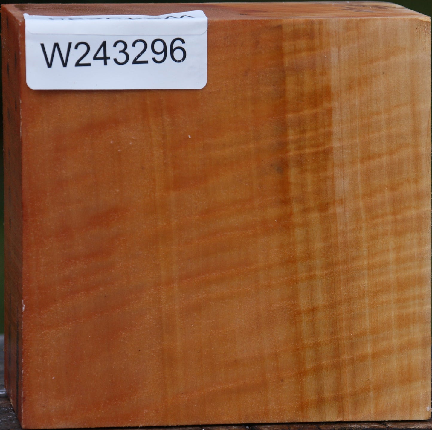 Extra Fancy Swiss Pear Bowl Blank