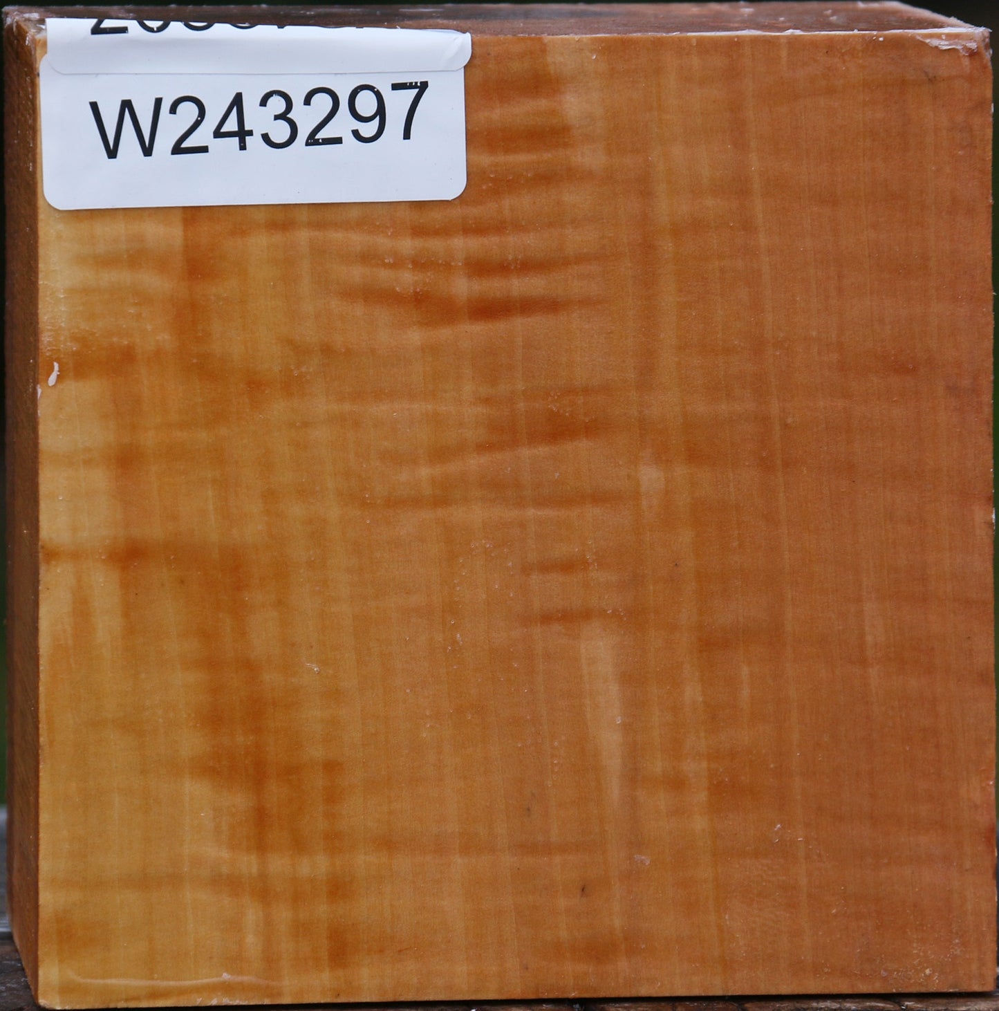 Extra Fancy Swiss Pear Bowl Blank