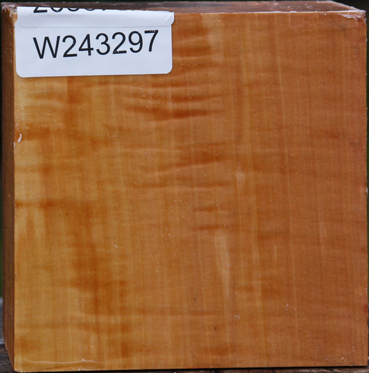 Extra Fancy Swiss Pear Bowl Blank