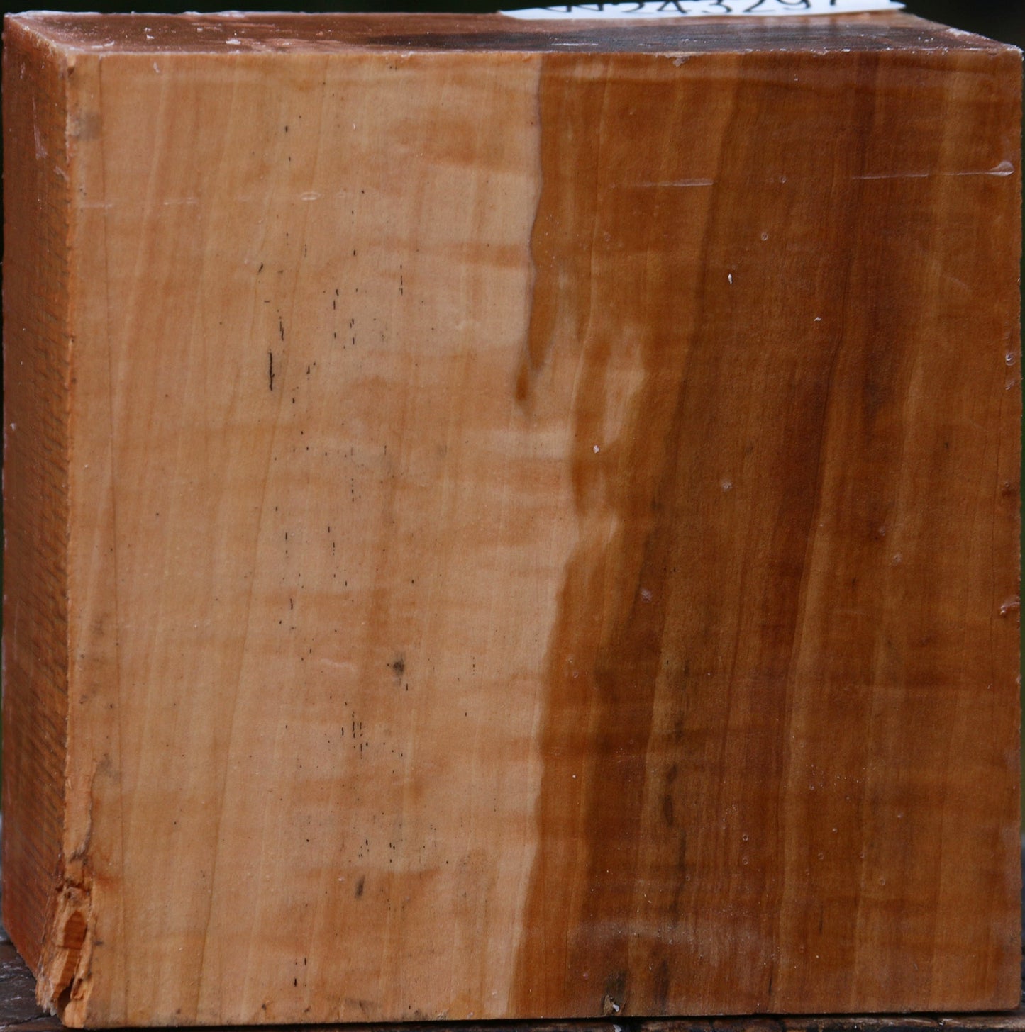 Extra Fancy Swiss Pear Bowl Blank