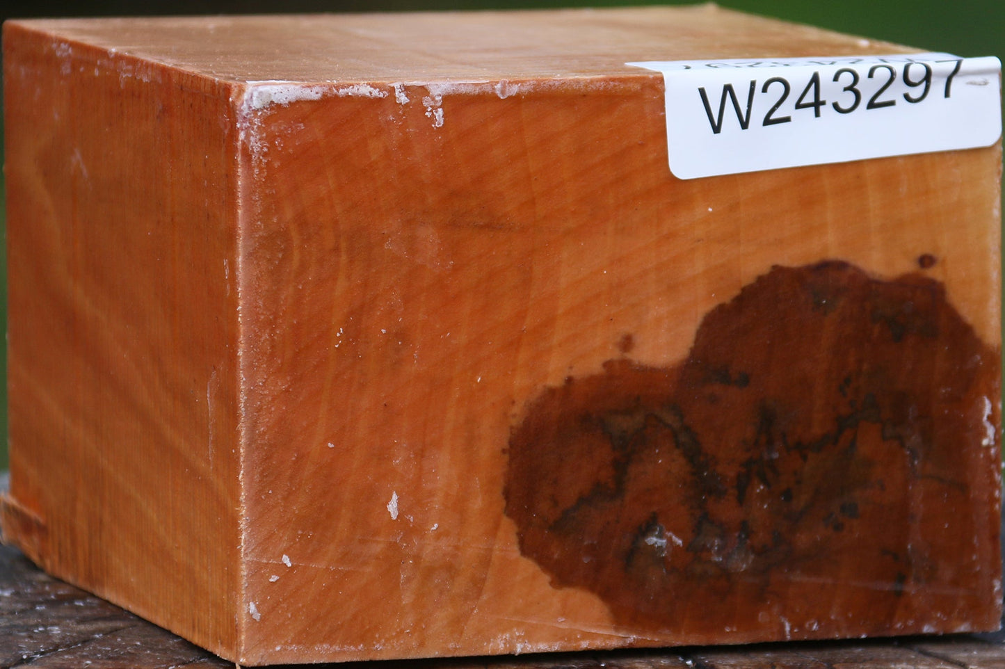 Extra Fancy Swiss Pear Bowl Blank