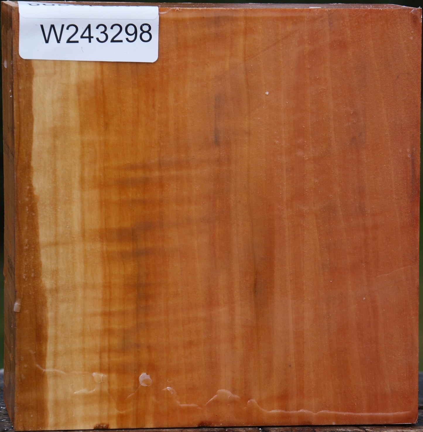 Figured Swiss Pear Bowl Blank