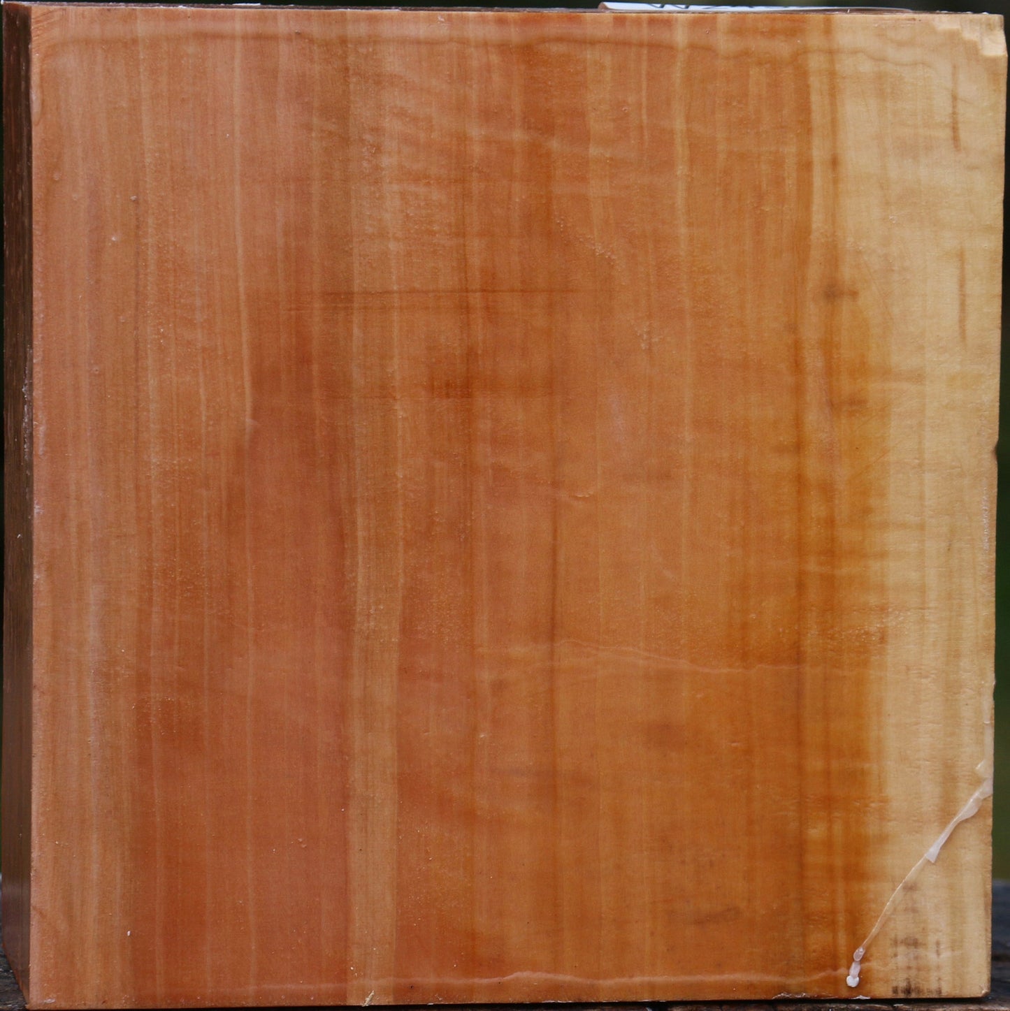 Figured Swiss Pear Bowl Blank