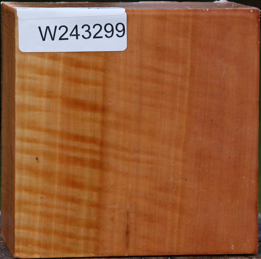 Extra Fancy Swiss Pear Bowl Blank