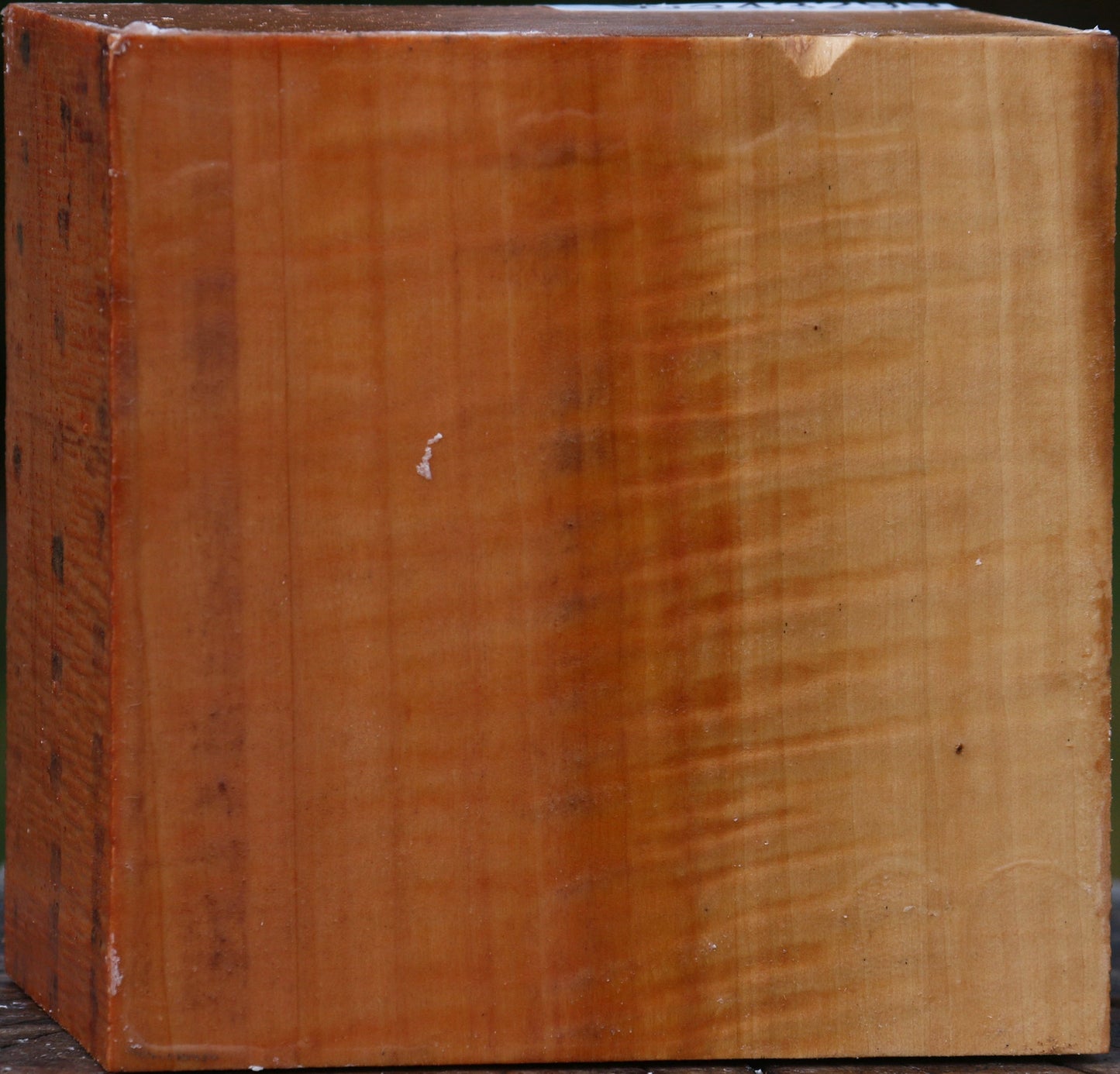 Extra Fancy Swiss Pear Bowl Blank