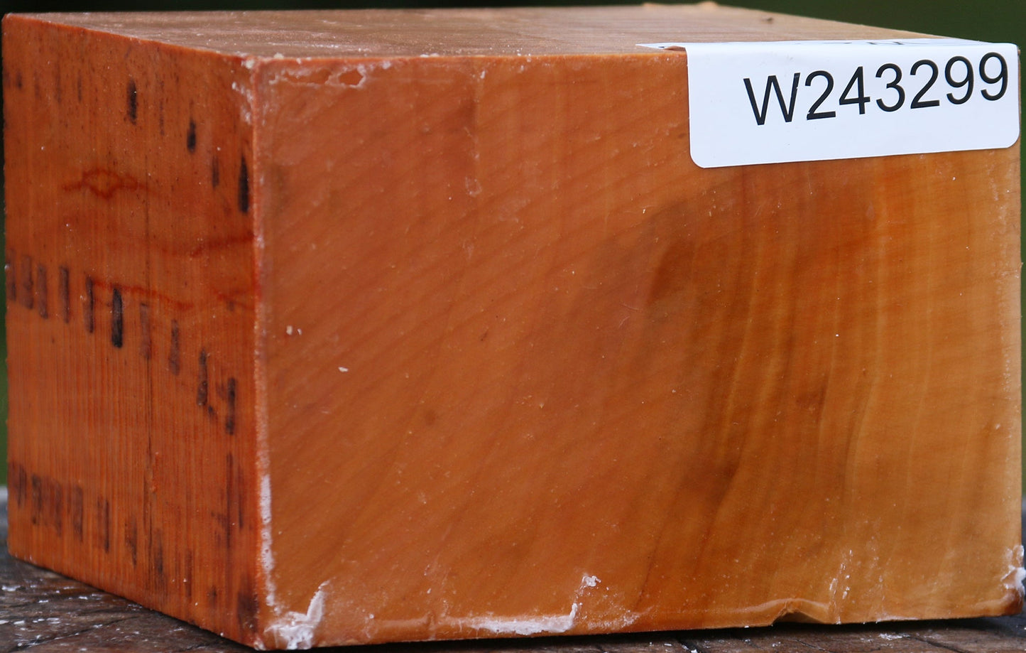 Extra Fancy Swiss Pear Bowl Blank