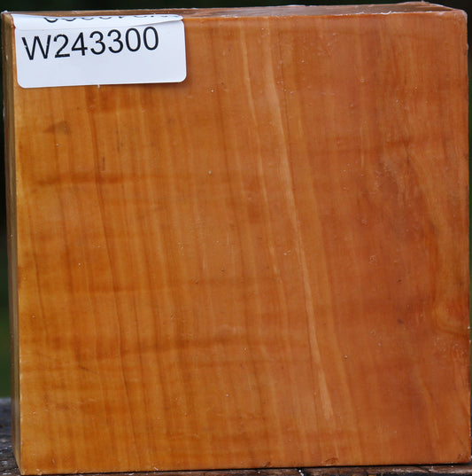 Extra Fancy Swiss Pear Bowl Blank