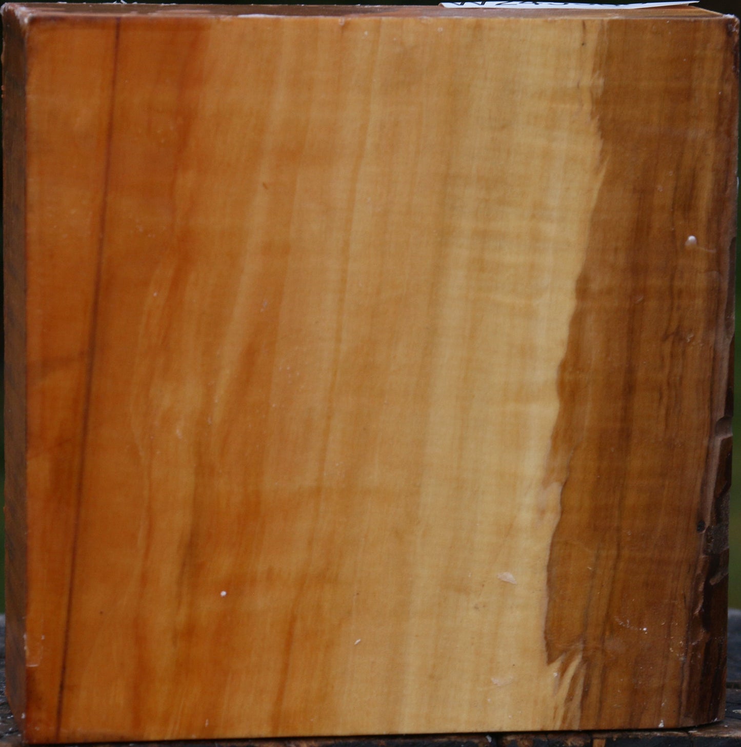 Extra Fancy Swiss Pear Bowl Blank