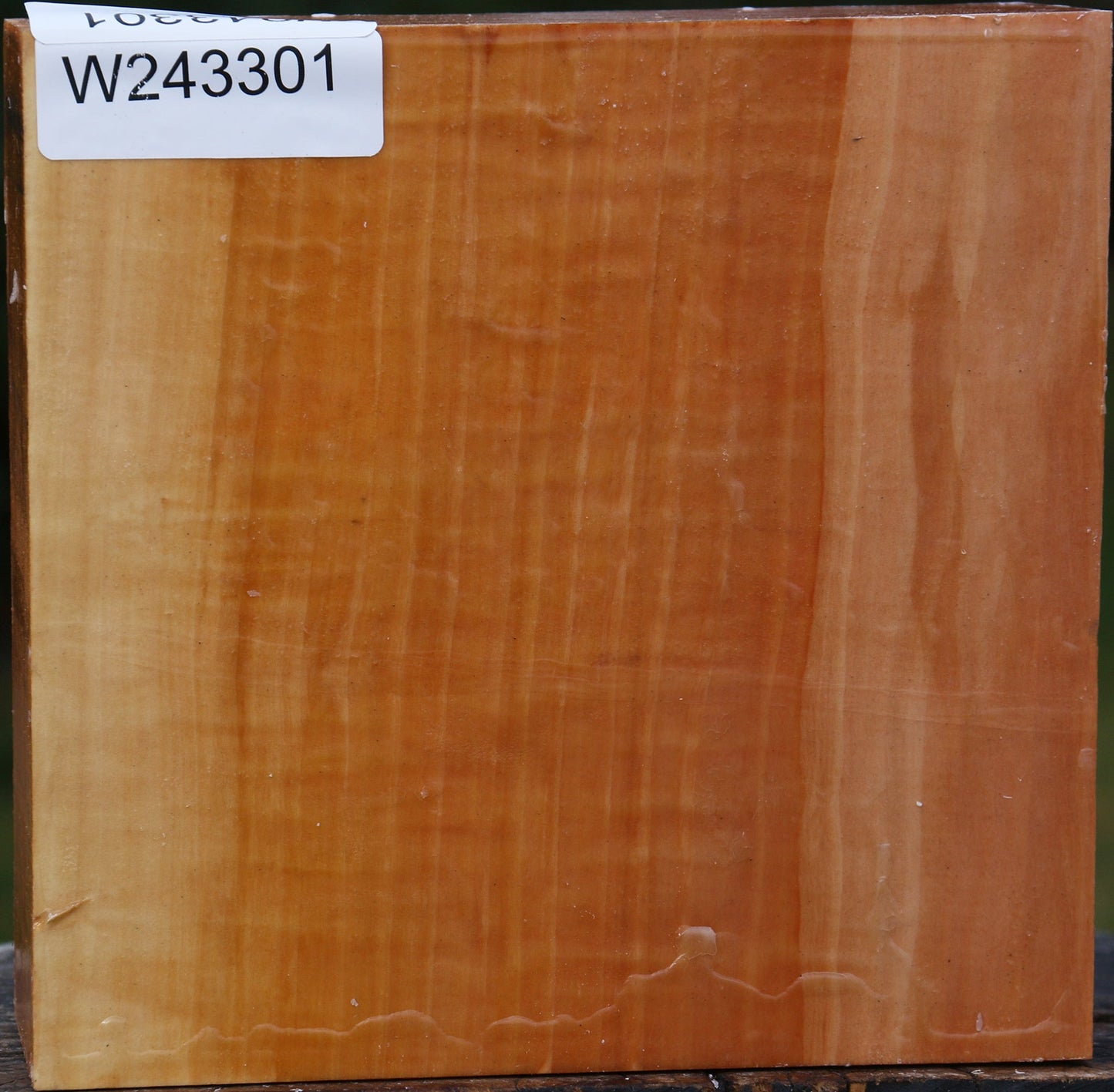 Figured Swiss Pear Bowl Blank