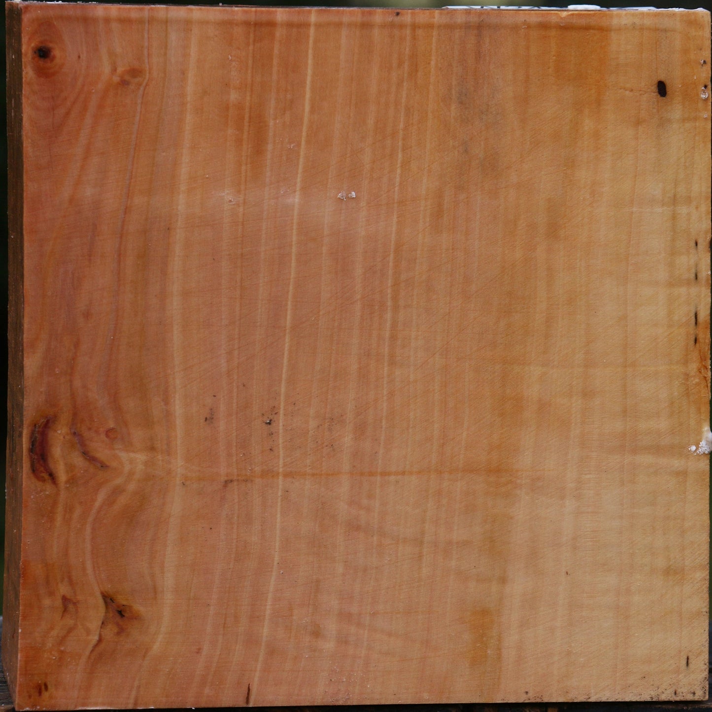 Figured Swiss Pear Bowl Blank