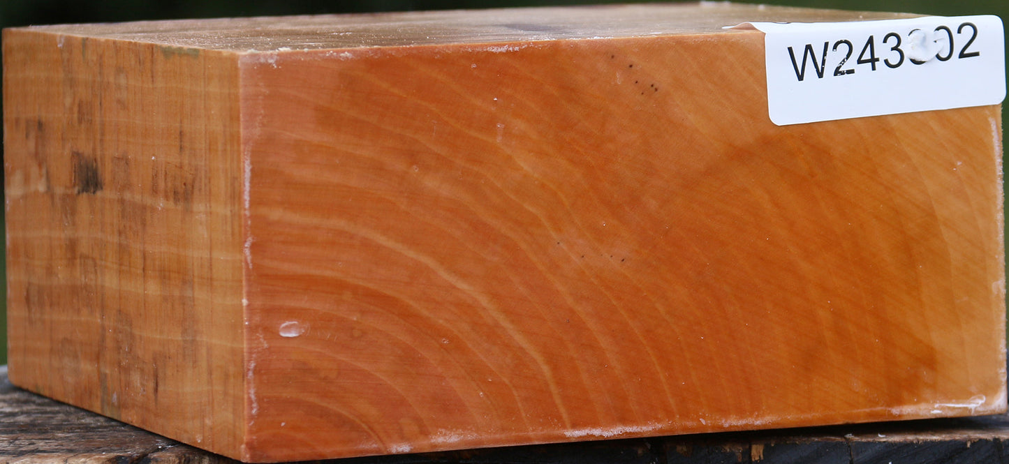 Figured Swiss Pear Bowl Blank