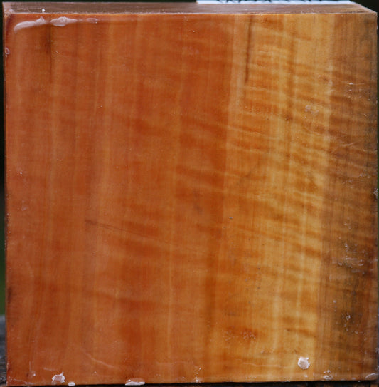 Extra Fancy Swiss Pear Bowl Blank