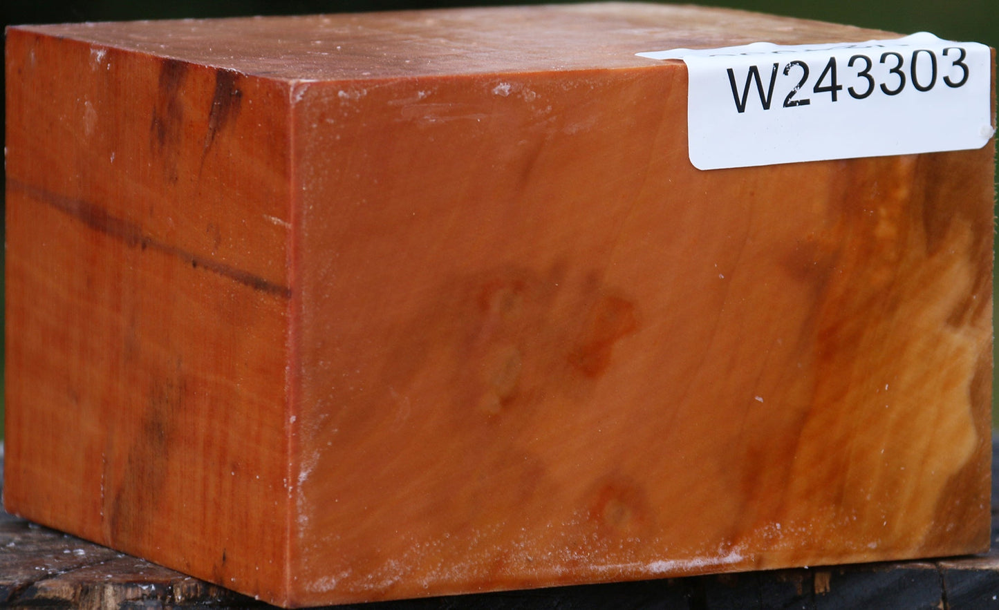 Extra Fancy Swiss Pear Bowl Blank