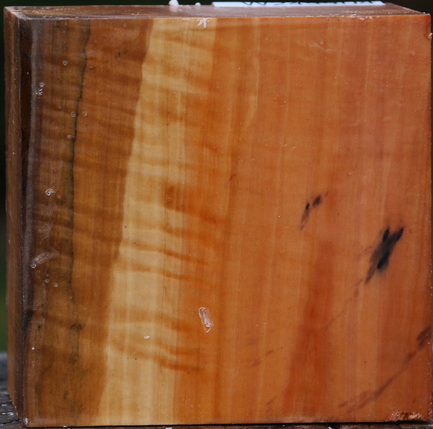 Extra Fancy Swiss Pear Bowl Blank