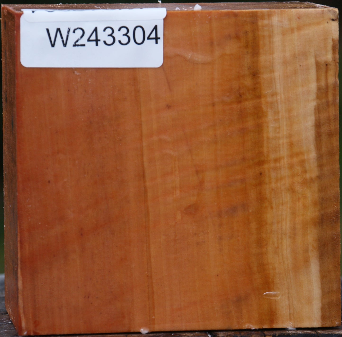 Extra Fancy Swiss Pear Bowl Blank