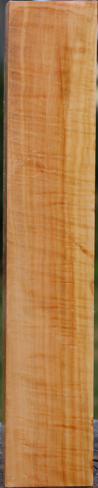 Extra Fancy Swiss Pear Turning Square