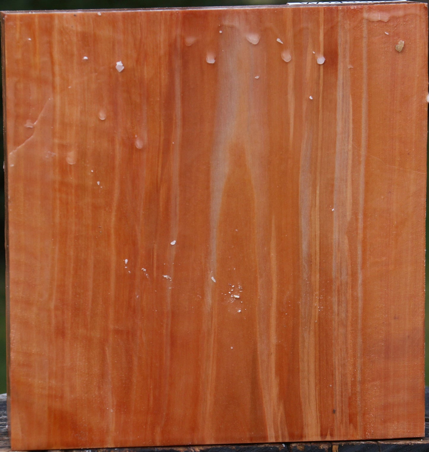 Figured Swiss Pear Bowl Blank