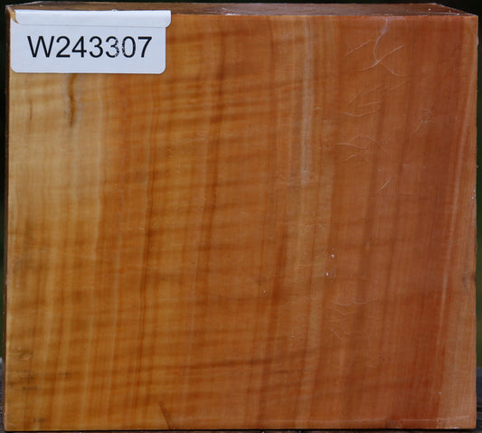 Extra Fancy Swiss Pear Bowl Blank