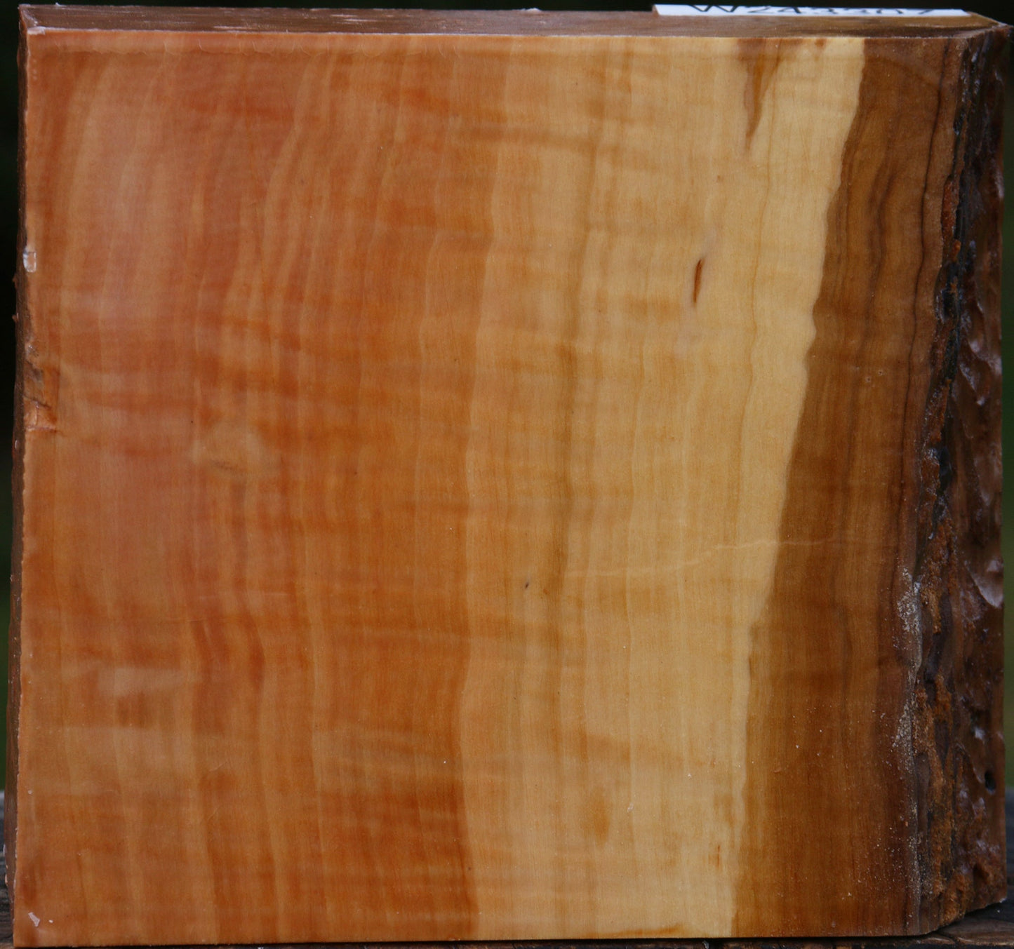 Extra Fancy Swiss Pear Bowl Blank