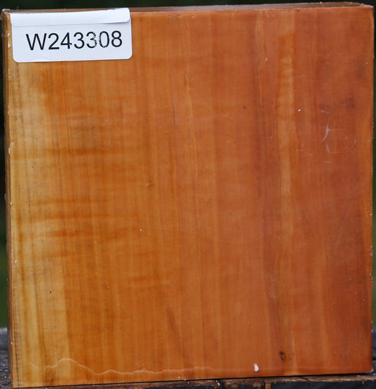 Extra Fancy Swiss Pear Bowl Blank