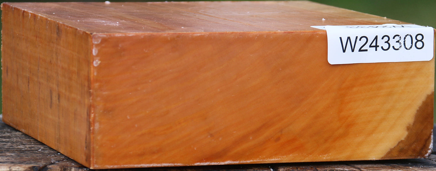 Extra Fancy Swiss Pear Bowl Blank