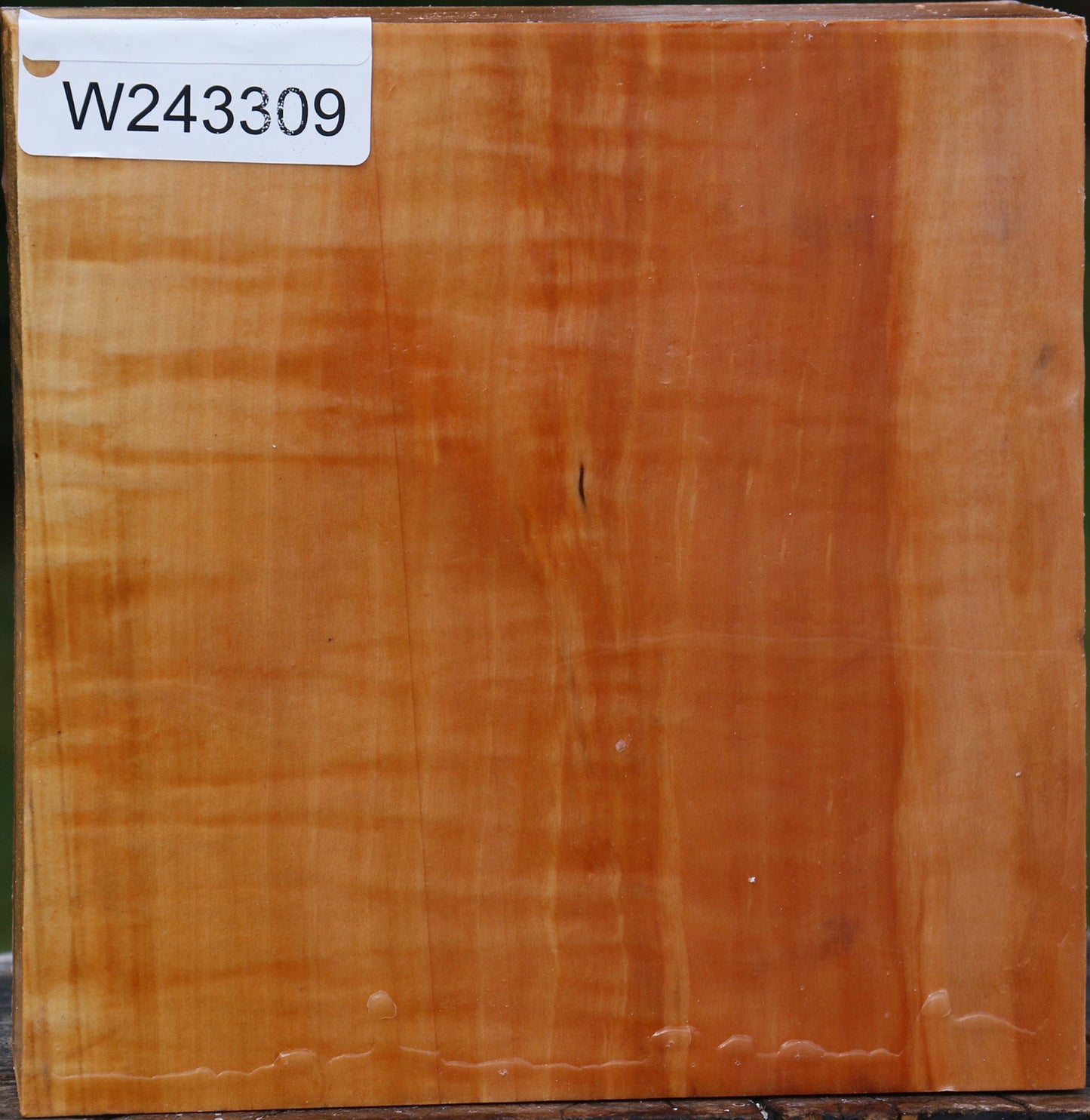 Figured Swiss Pear Bowl Blank