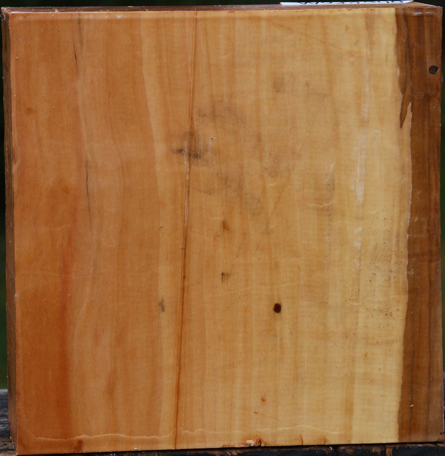 Figured Swiss Pear Bowl Blank