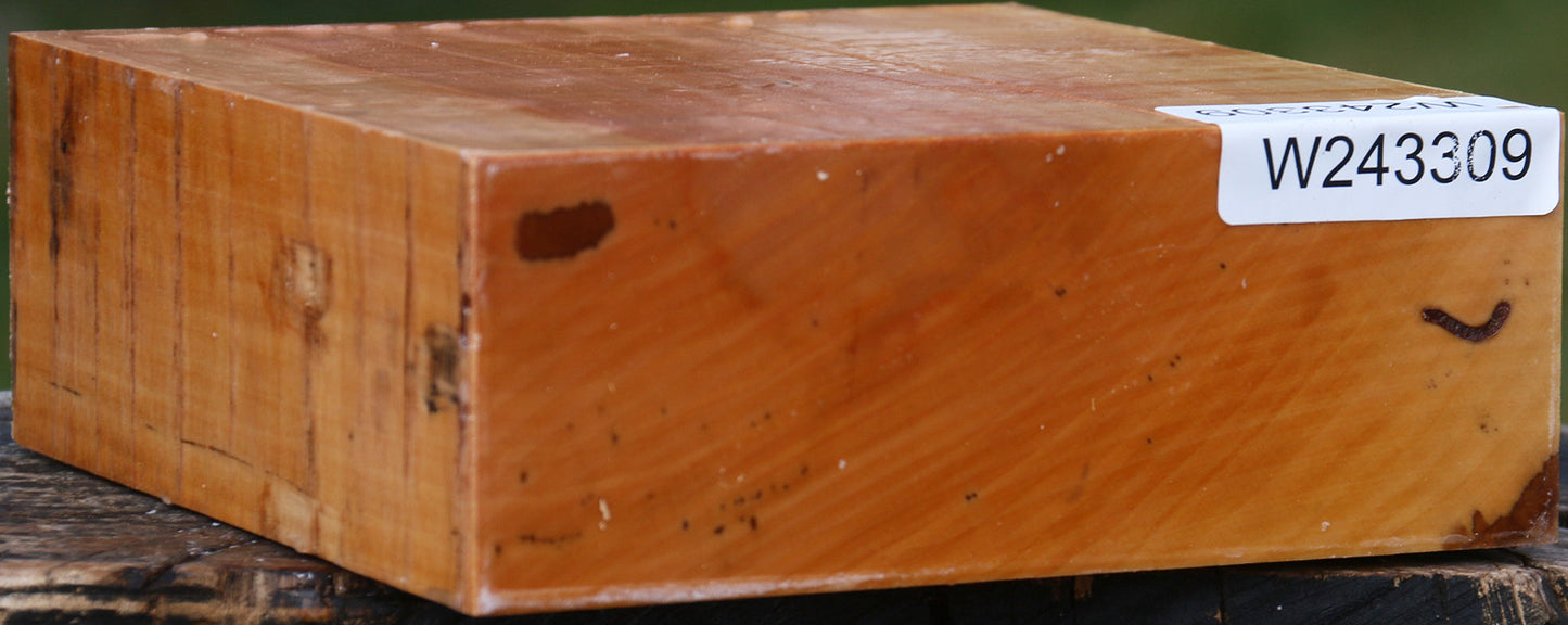 Figured Swiss Pear Bowl Blank