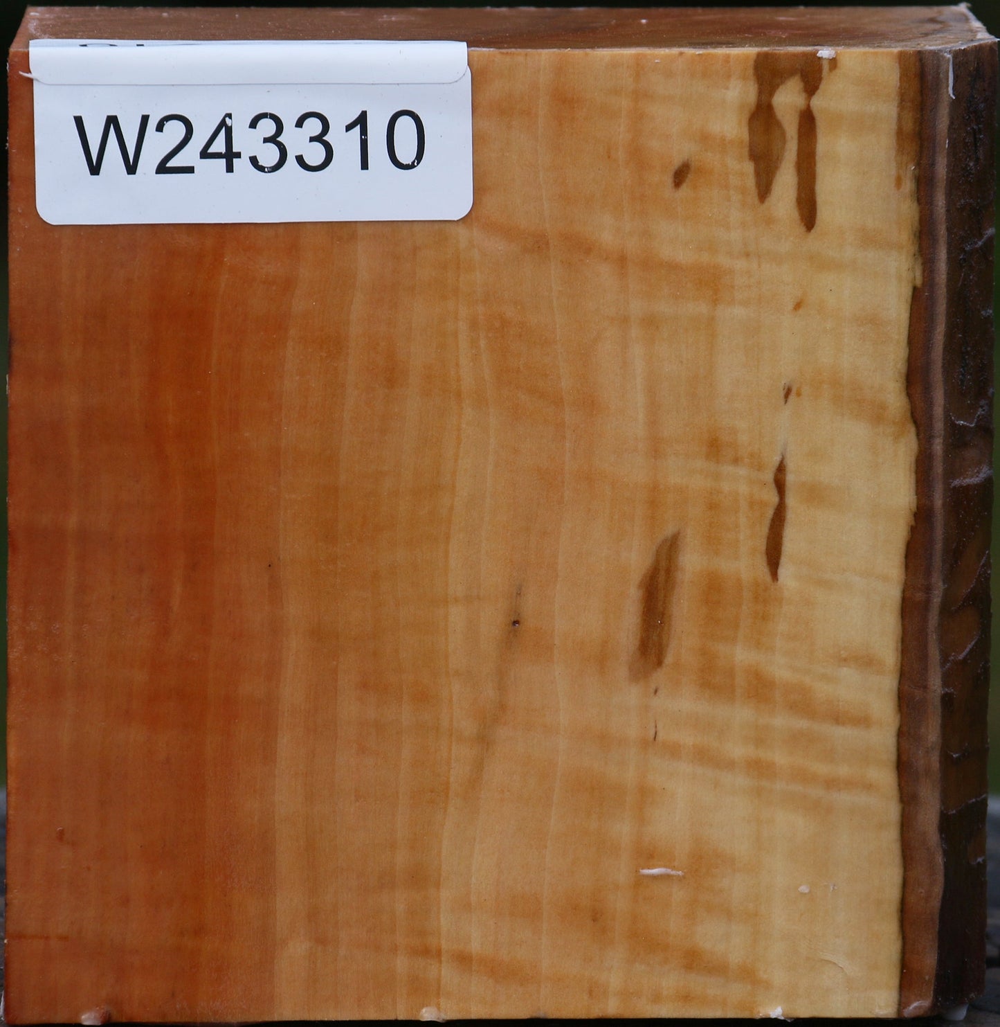 Extra Fancy Swiss Pear Bowl Blank