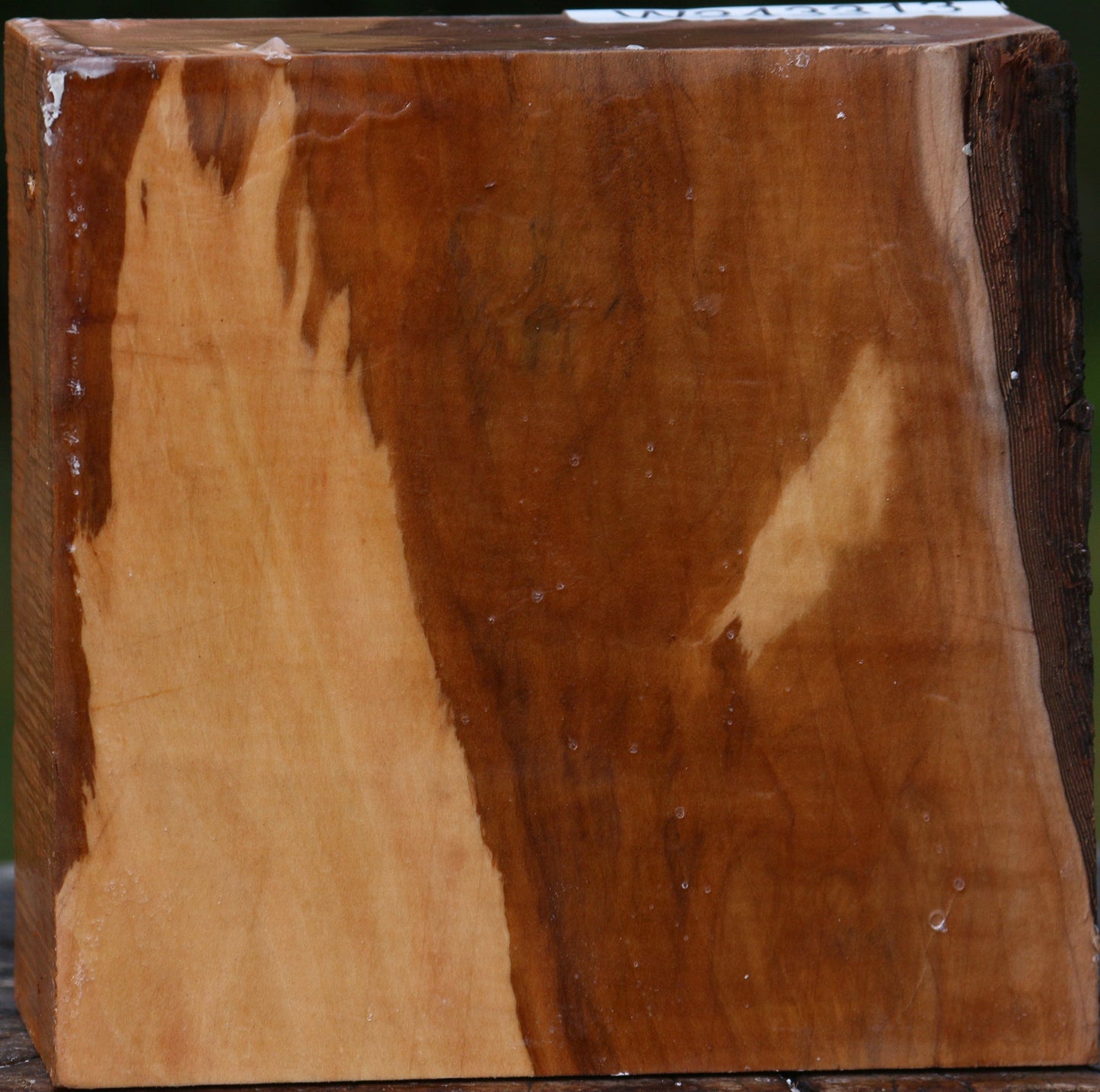 Figured Swiss Pear Bowl Blank