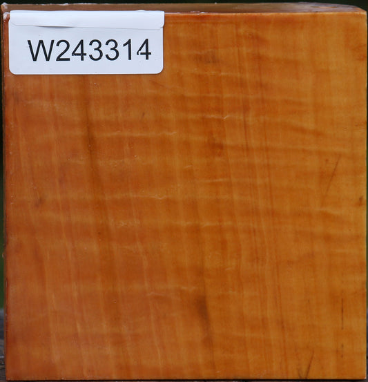 Extra Fancy Swiss Pear Bowl Blank