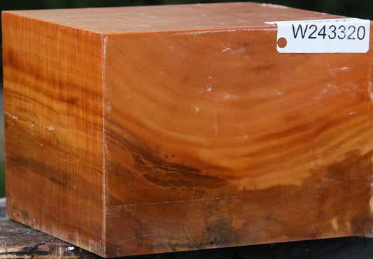 Swiss Pear Bowl Blank