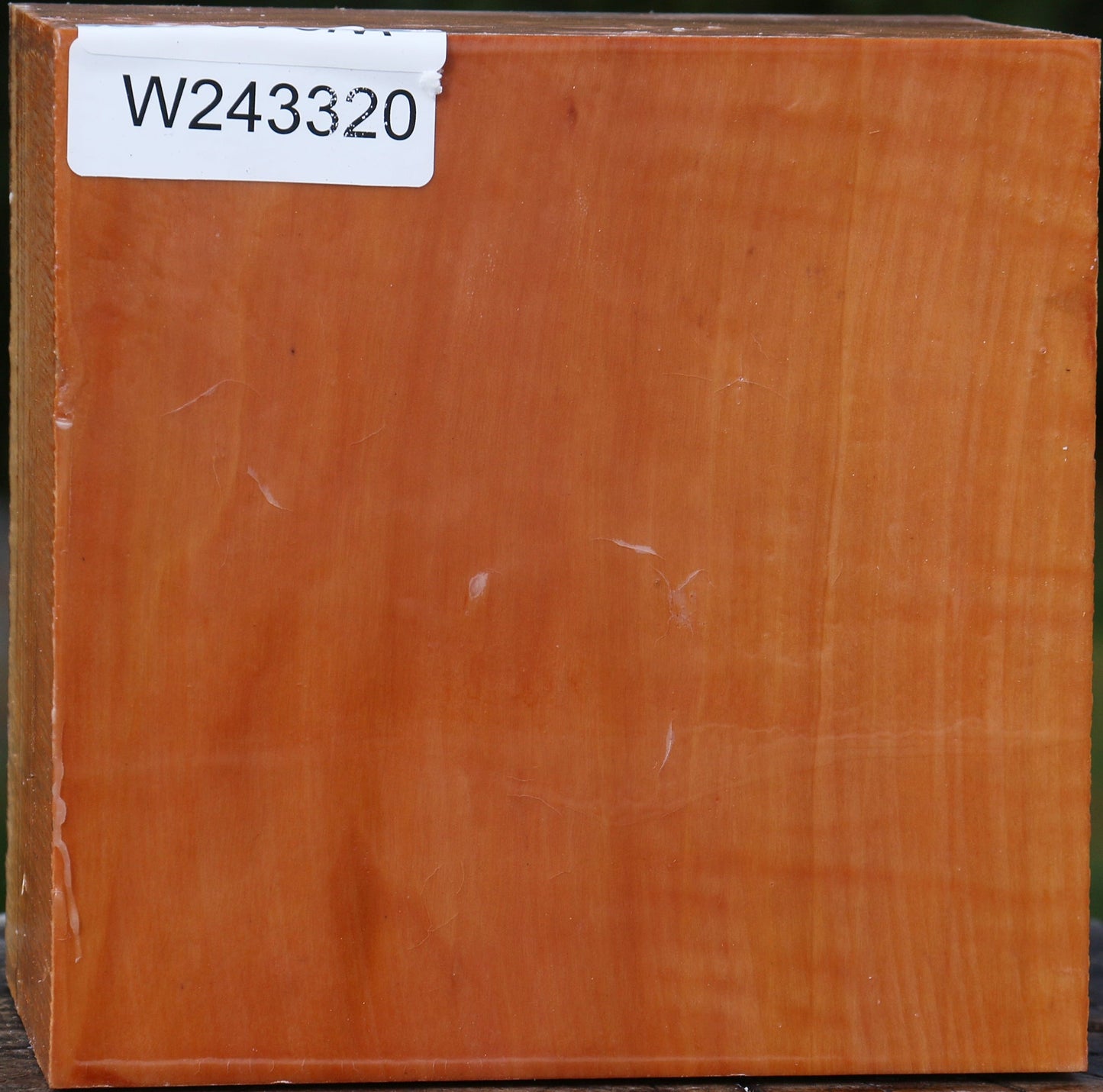 Swiss Pear Bowl Blank