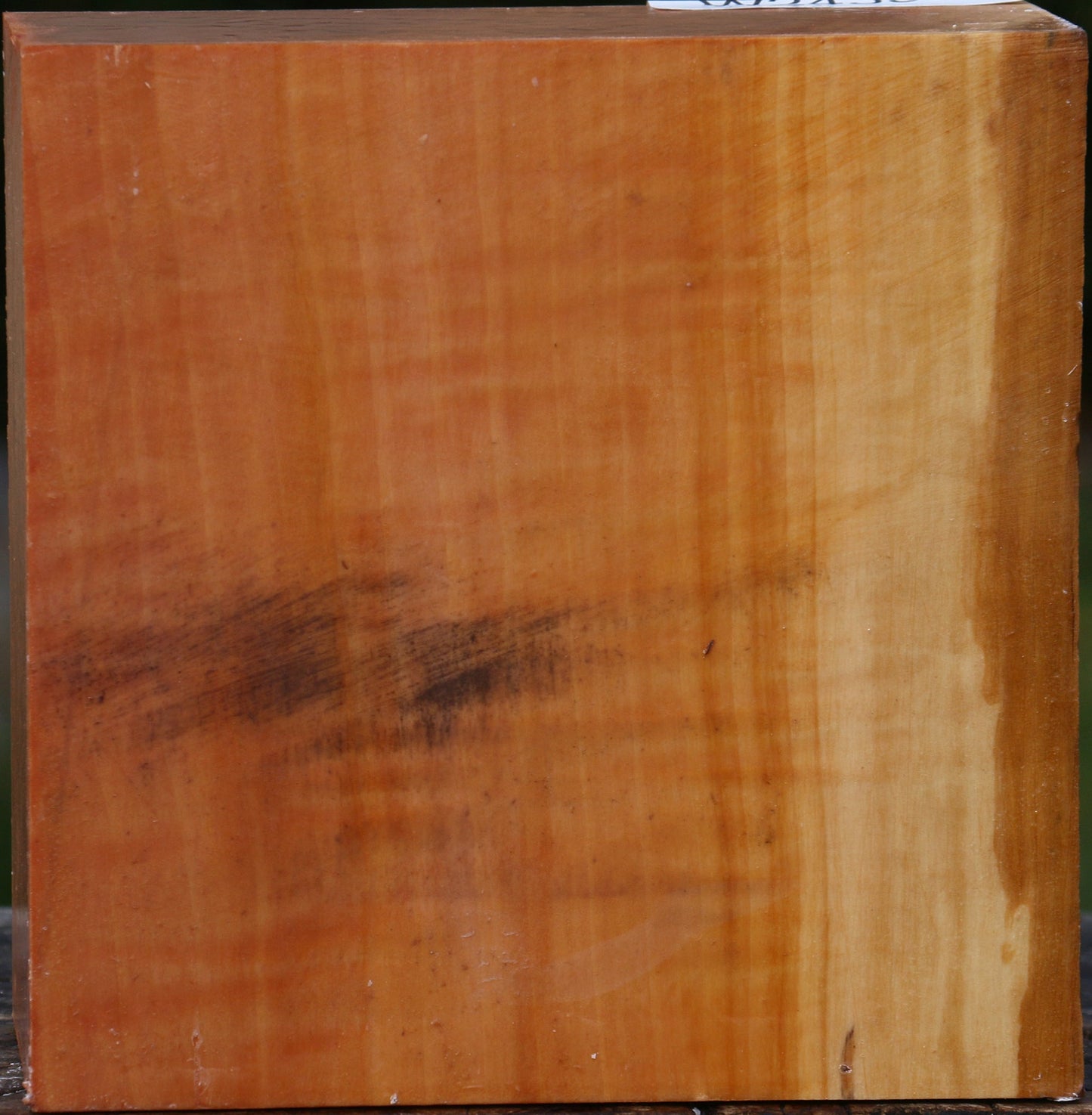 Figured Swiss Pear Bowl Blank