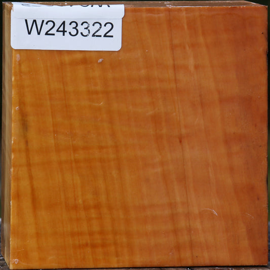 Extra Fancy Swiss Pear Bowl Blank