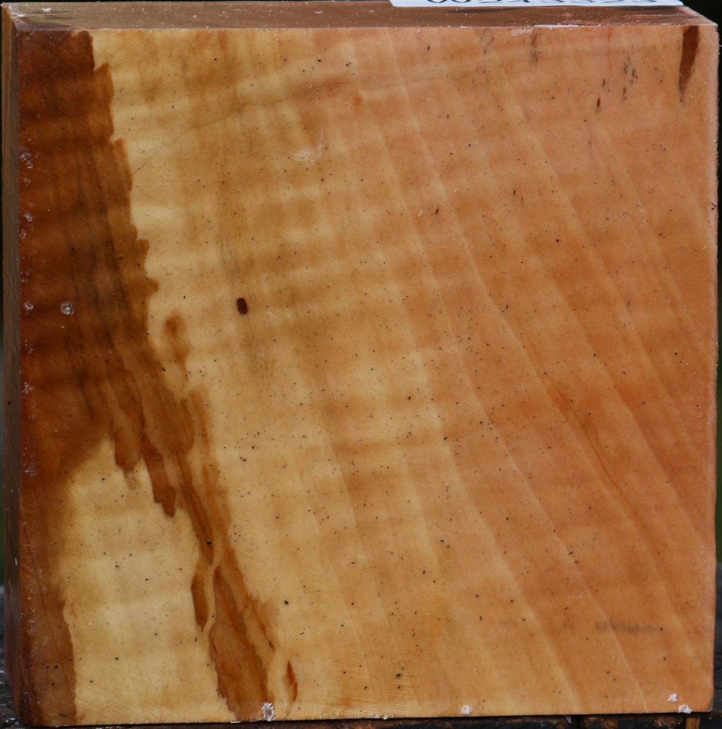 Extra Fancy Swiss Pear Bowl Blank