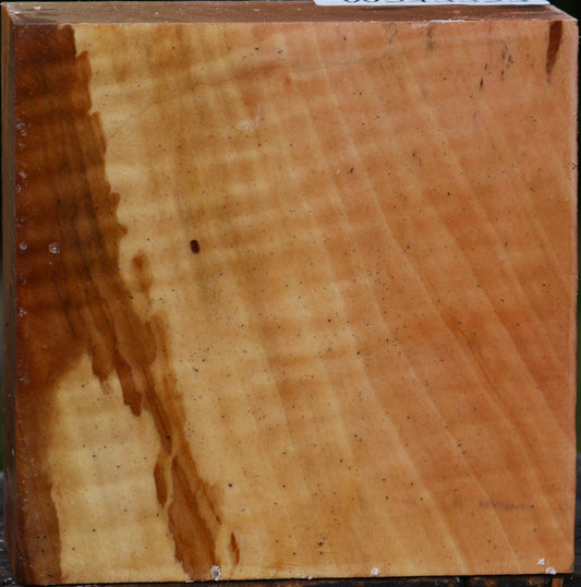 Extra Fancy Swiss Pear Bowl Blank