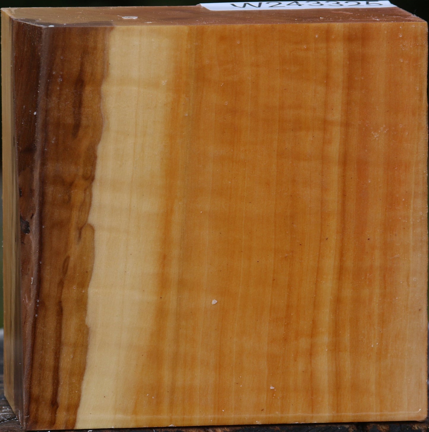 Figured Swiss Pear Bowl Blank