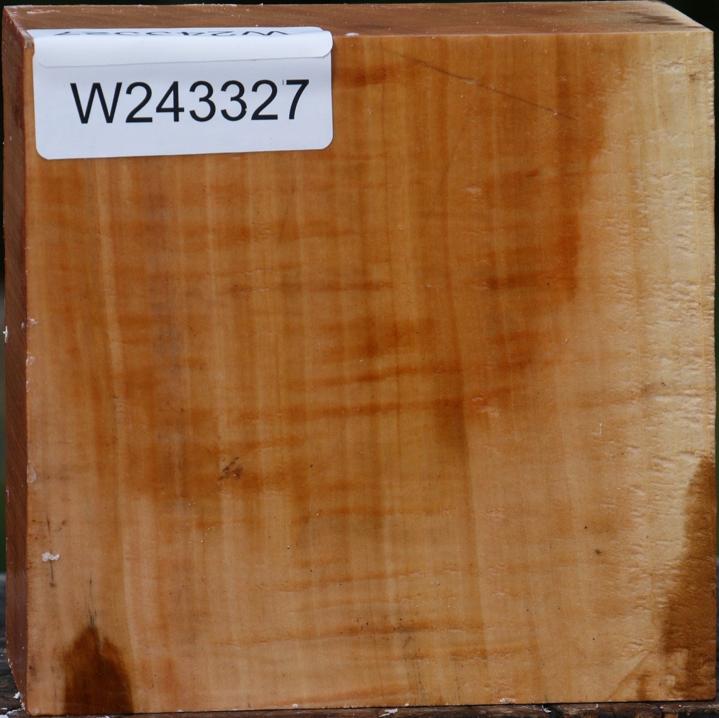 Figured Swiss Pear Bowl Blank