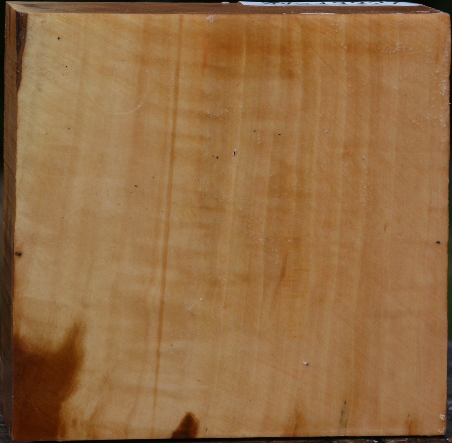 Figured Swiss Pear Bowl Blank