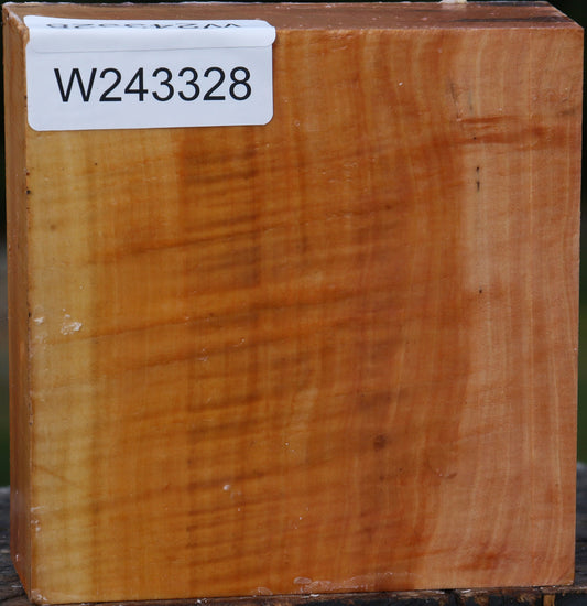 Extra Fancy Swiss Pear Bowl Blank