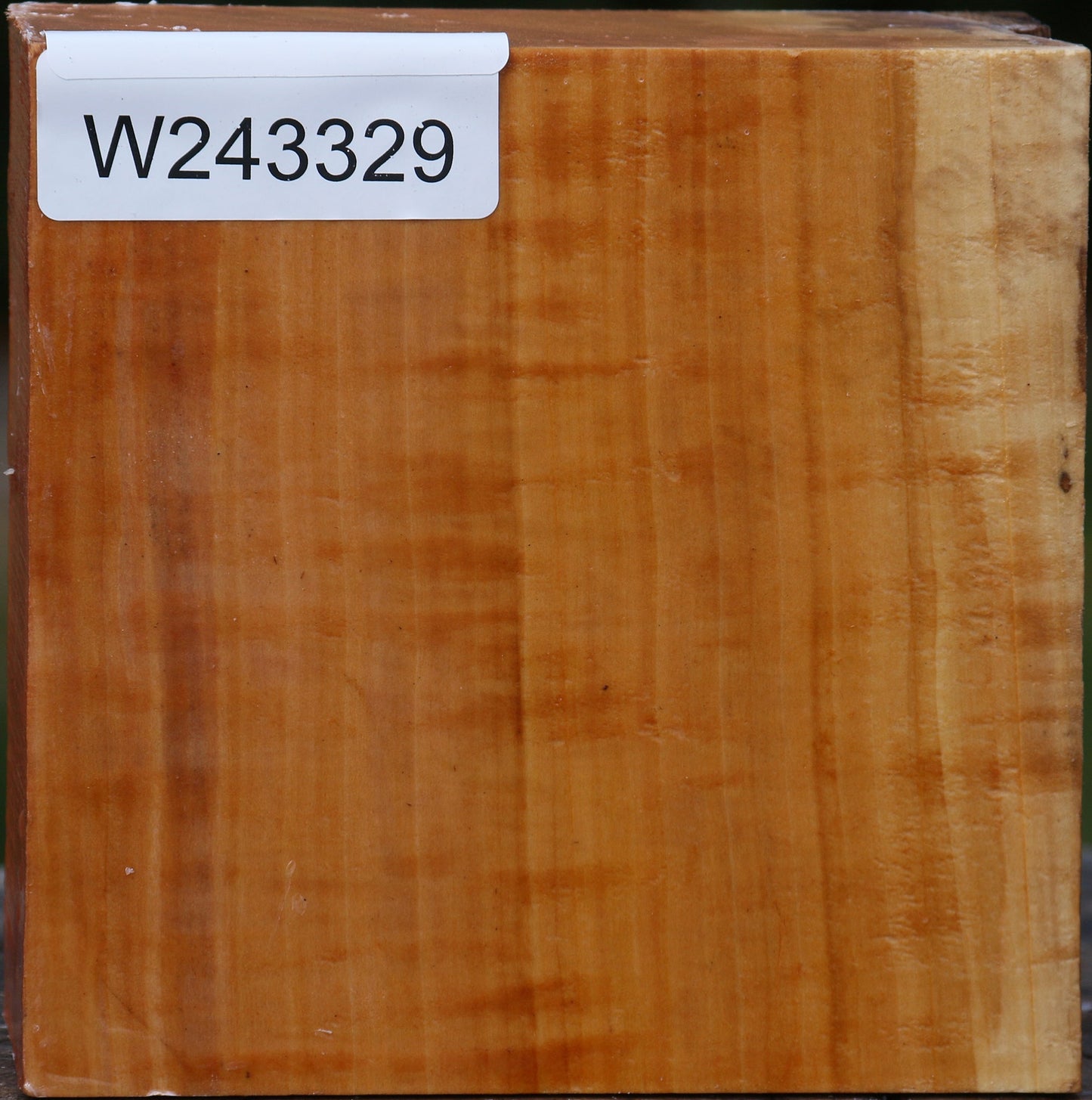 Figured Swiss Pear Bowl Blank