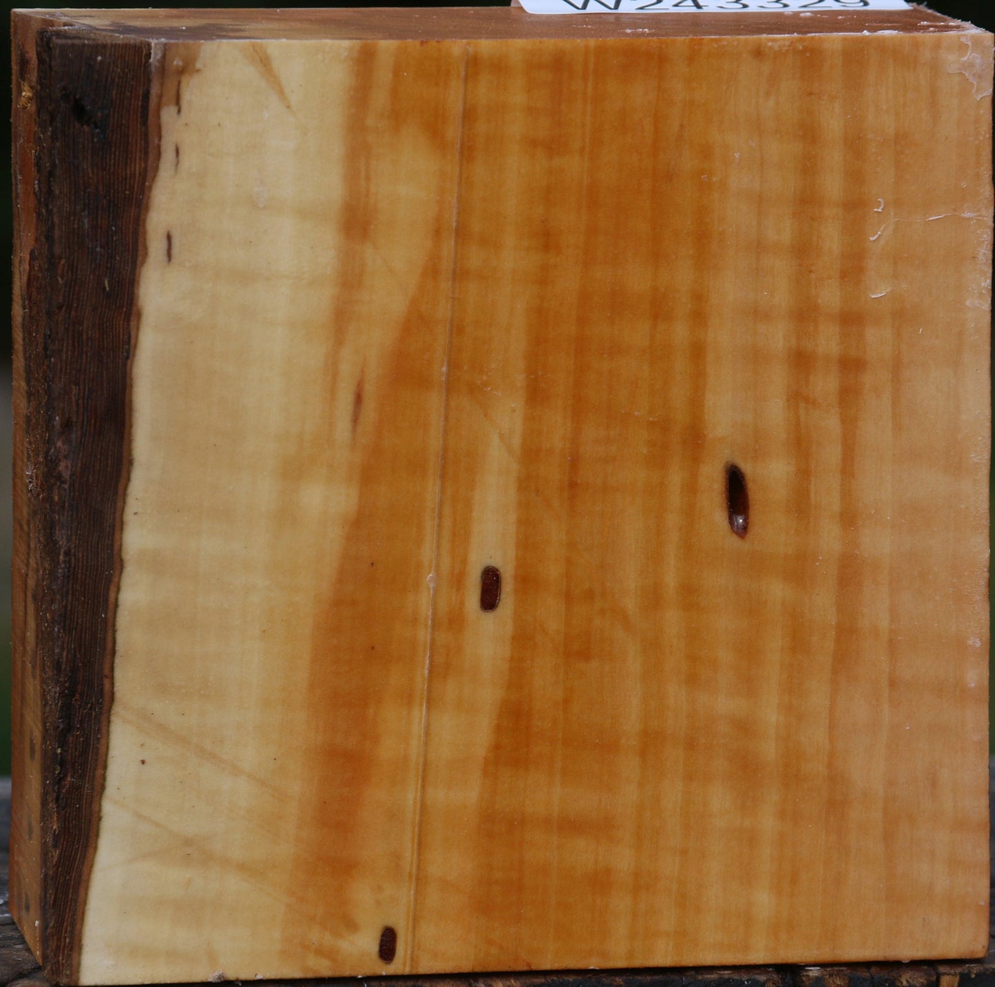 Figured Swiss Pear Bowl Blank