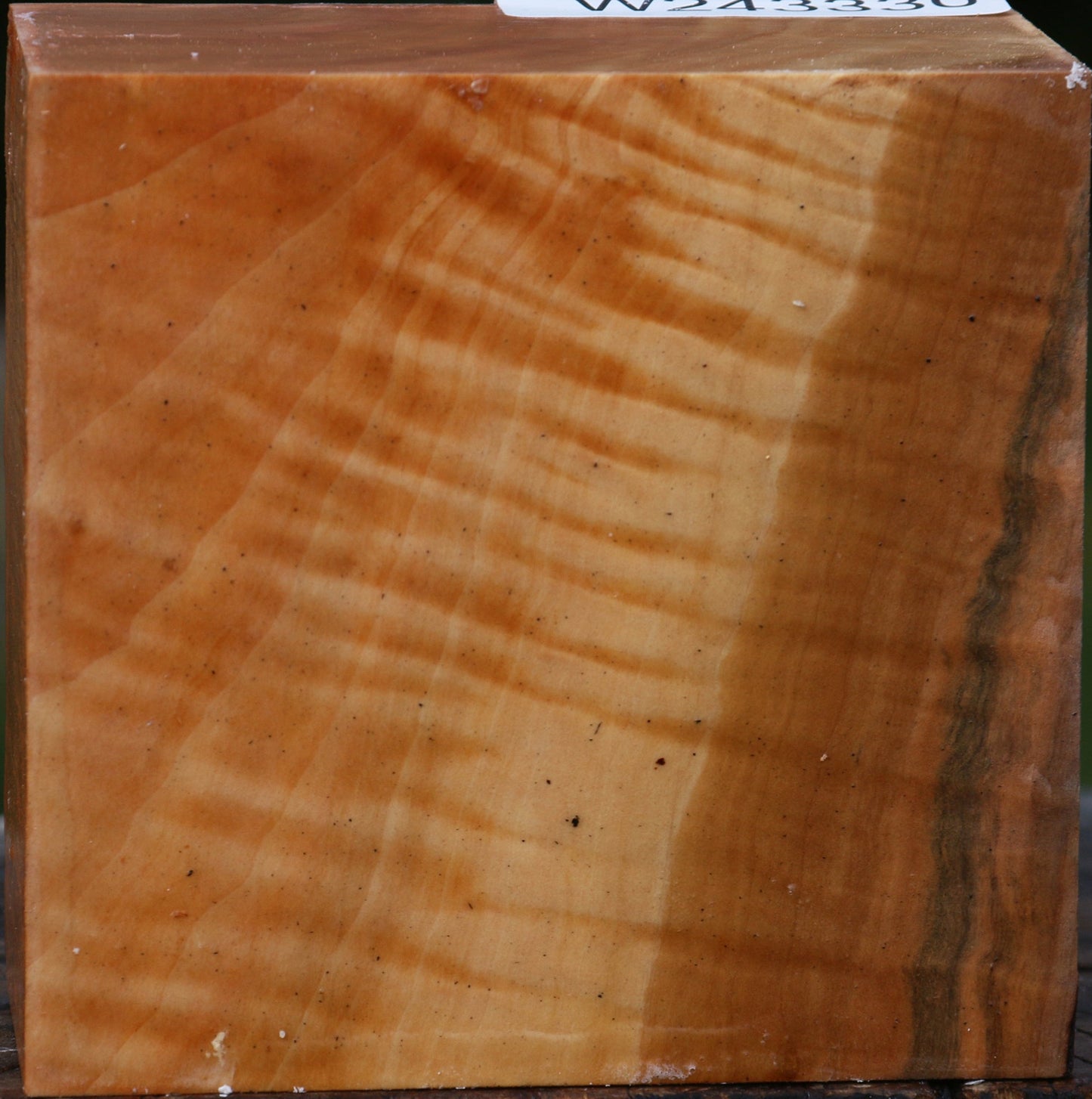 Extra Fancy Swiss Pear Bowl Blank