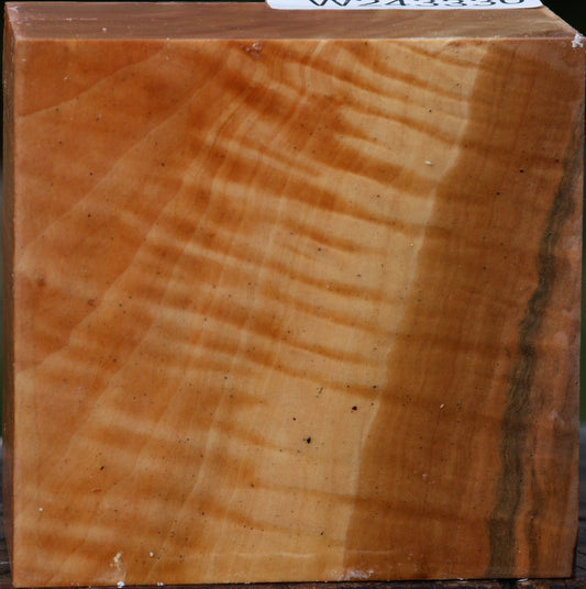 Extra Fancy Swiss Pear Bowl Blank